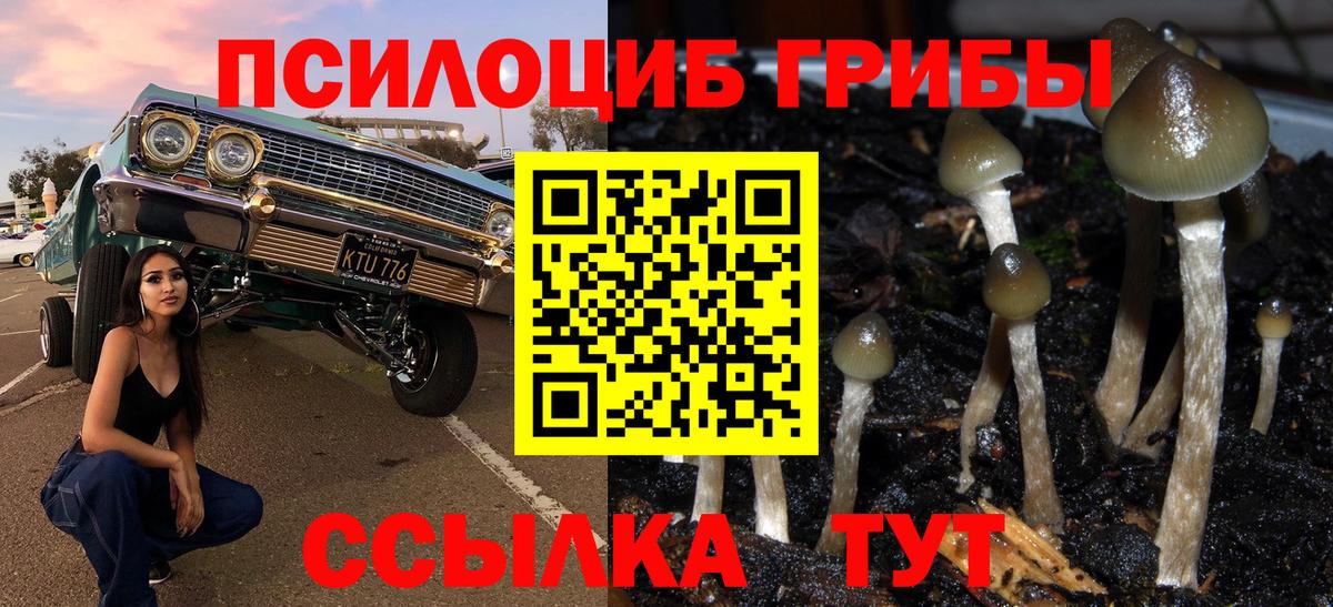 Псилоцибиновые грибы Magic Shrooms  Псилоцибиновые грибы GOLDEN TEACHER  Вход с VPN  Елец 