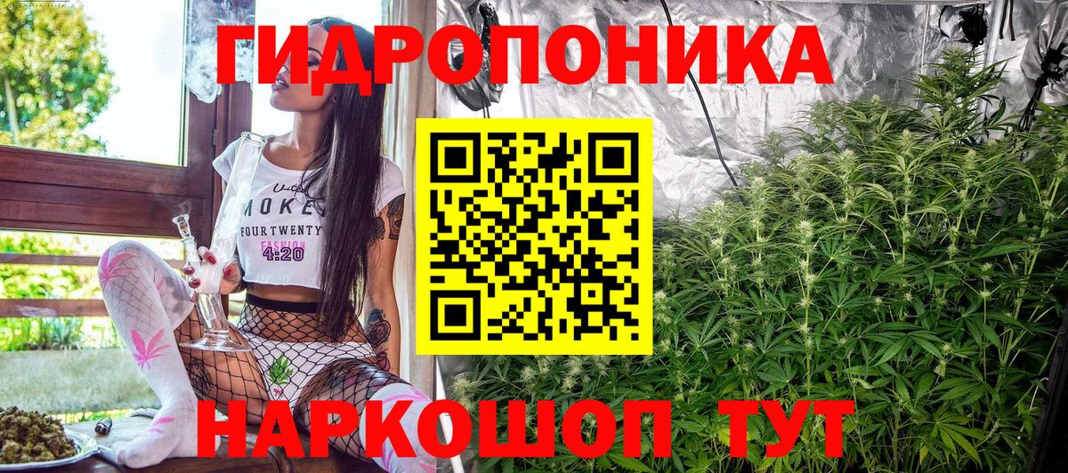 Марихуана сатива  Каннабис OG Kush  Елец  Вход с VPN  Бошки Шишки гибрид 